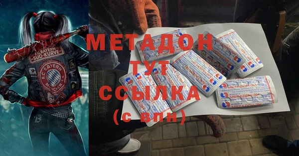прущие грибы Белокуриха